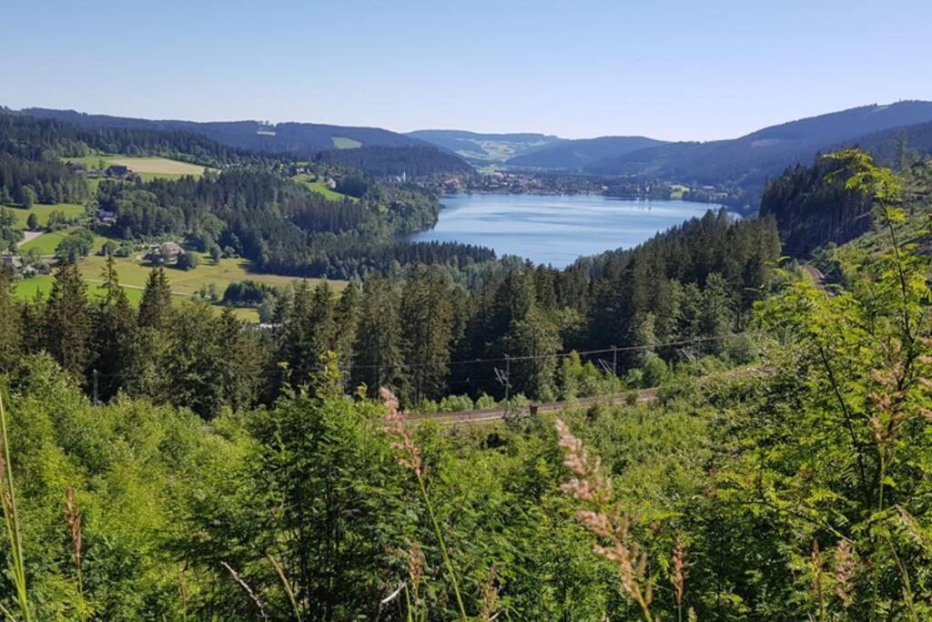 Black Forest Schwarzwaldblick Indoorpool Natur Ruhe Komfort Apartman Höchenschwand Kültér fotó