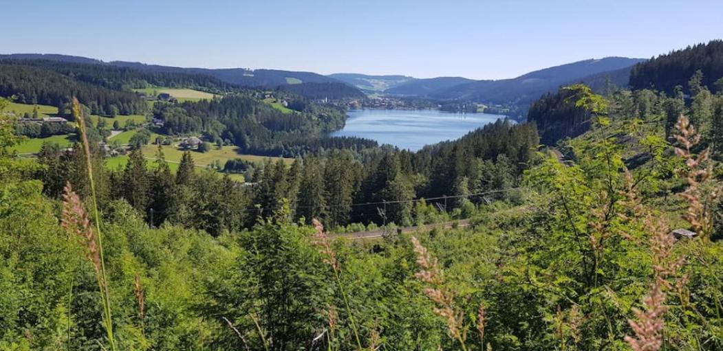 Black Forest Schwarzwaldblick Indoorpool Natur Ruhe Komfort Apartman Höchenschwand Kültér fotó